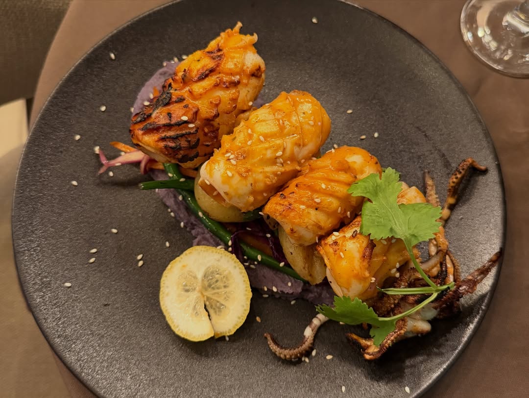 Celavi Experiência 2